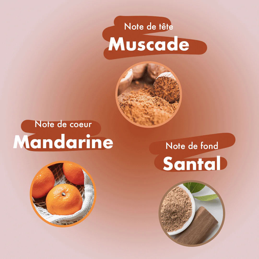 Bubble Shell Incense Mandarin, Nutmeg & Sandalwood
