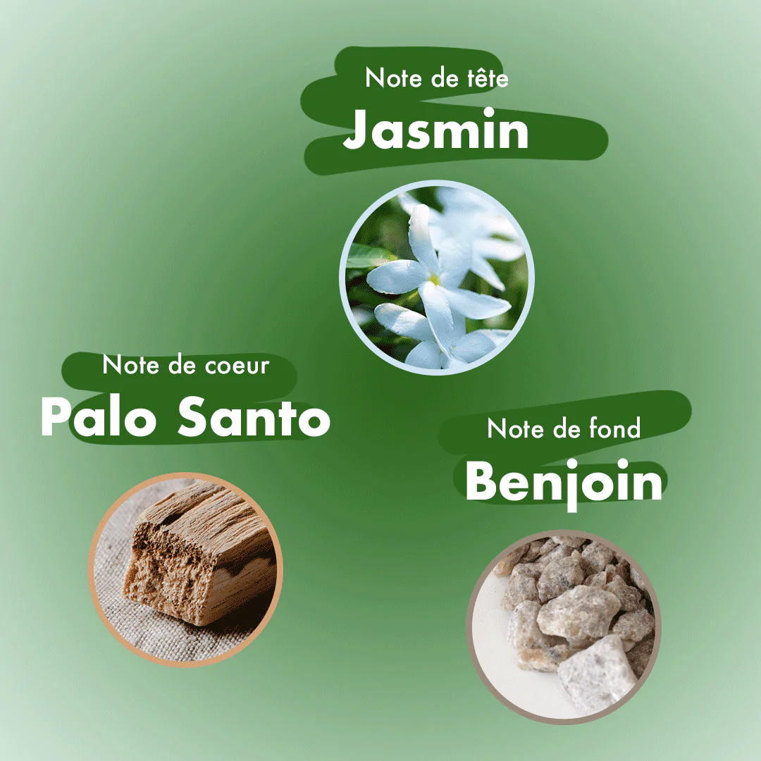 Dragonfly Incense Jasmine, Palo Santo & Benzoin