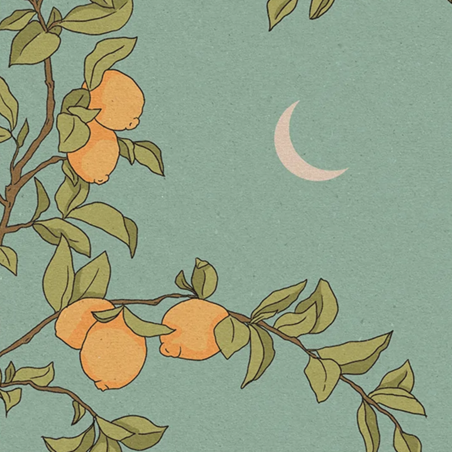 Lemon Tree Art Print
