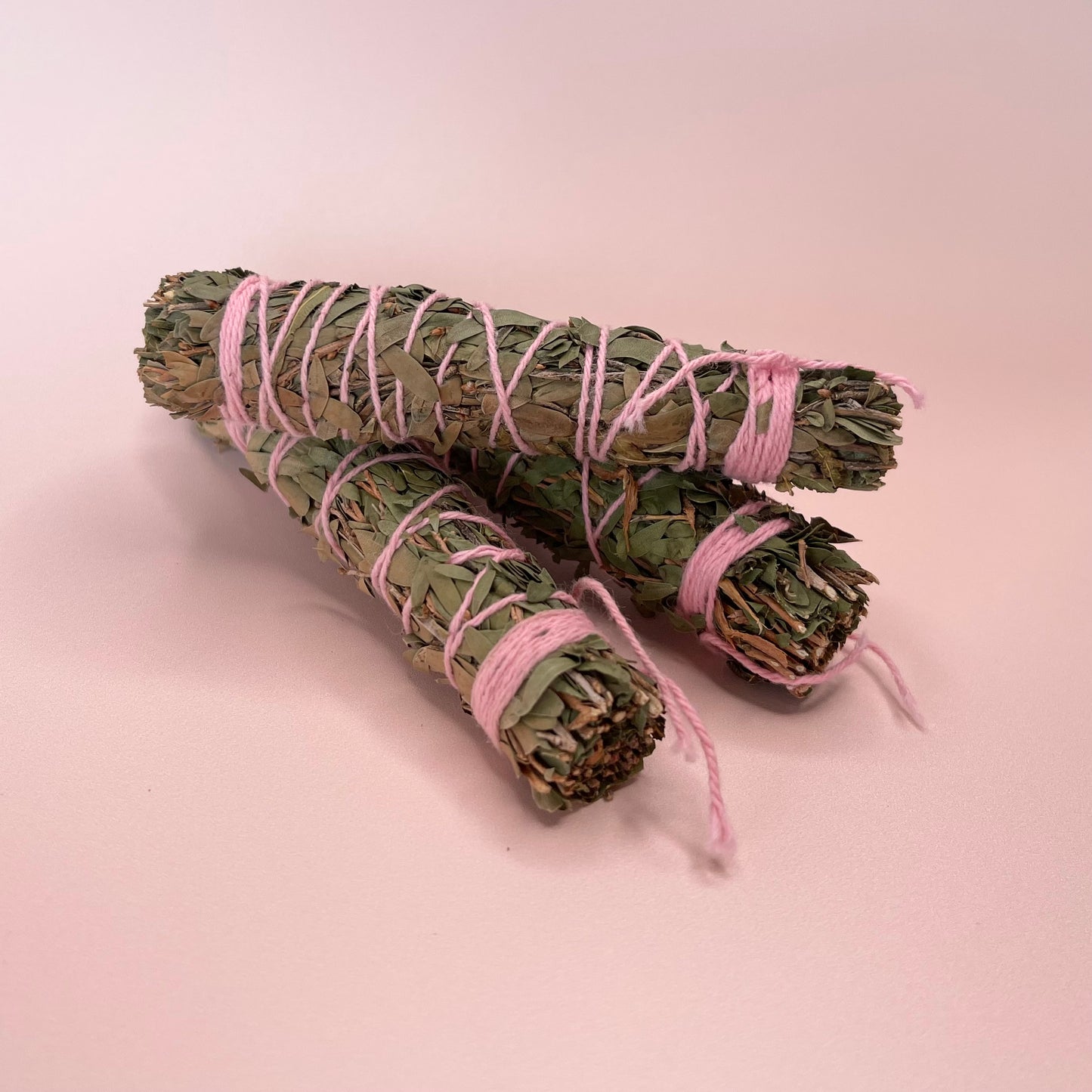 Clarity Tree Fern Blend Mini Smudge