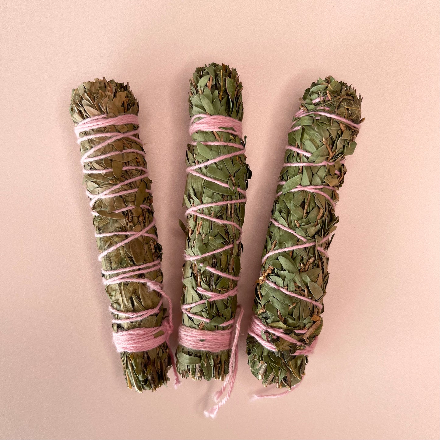 Clarity Tree Fern Blend Mini Smudge
