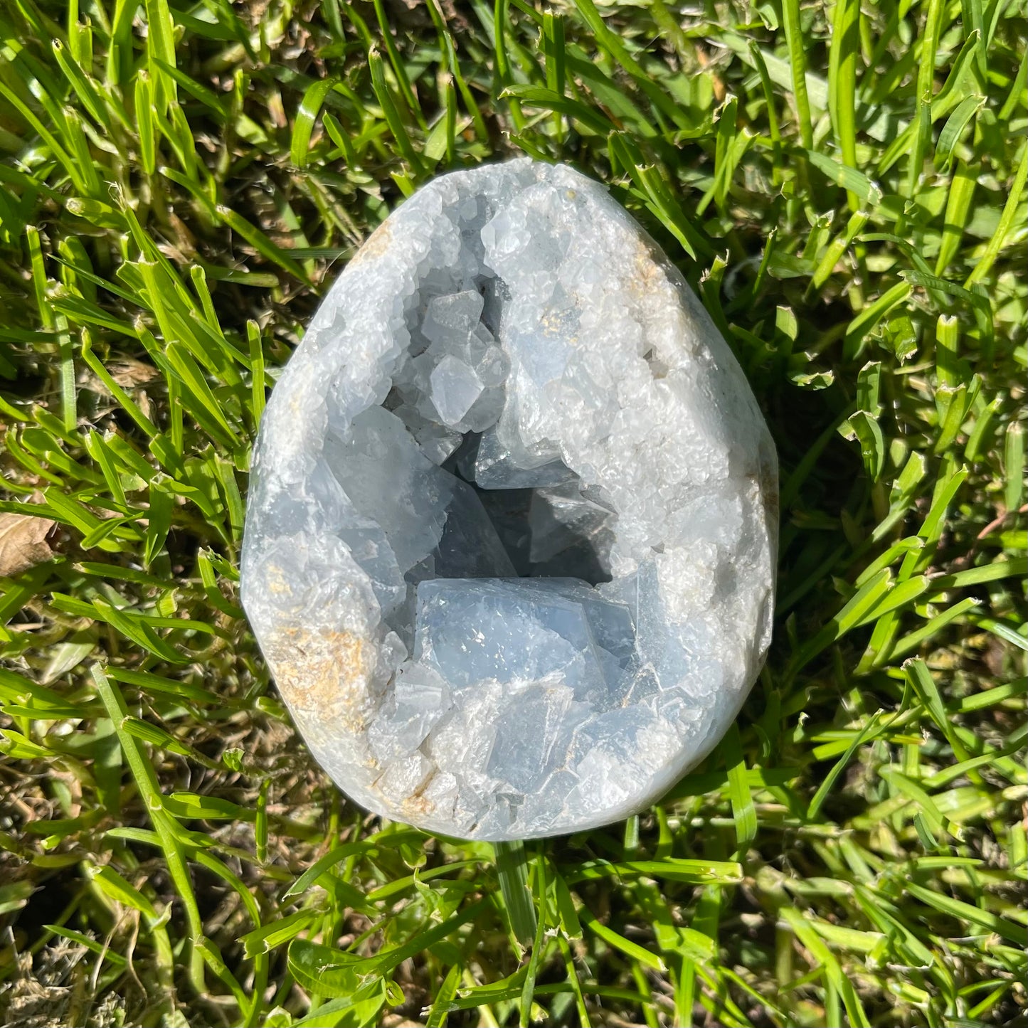 Celestite Geode Cluster 537g