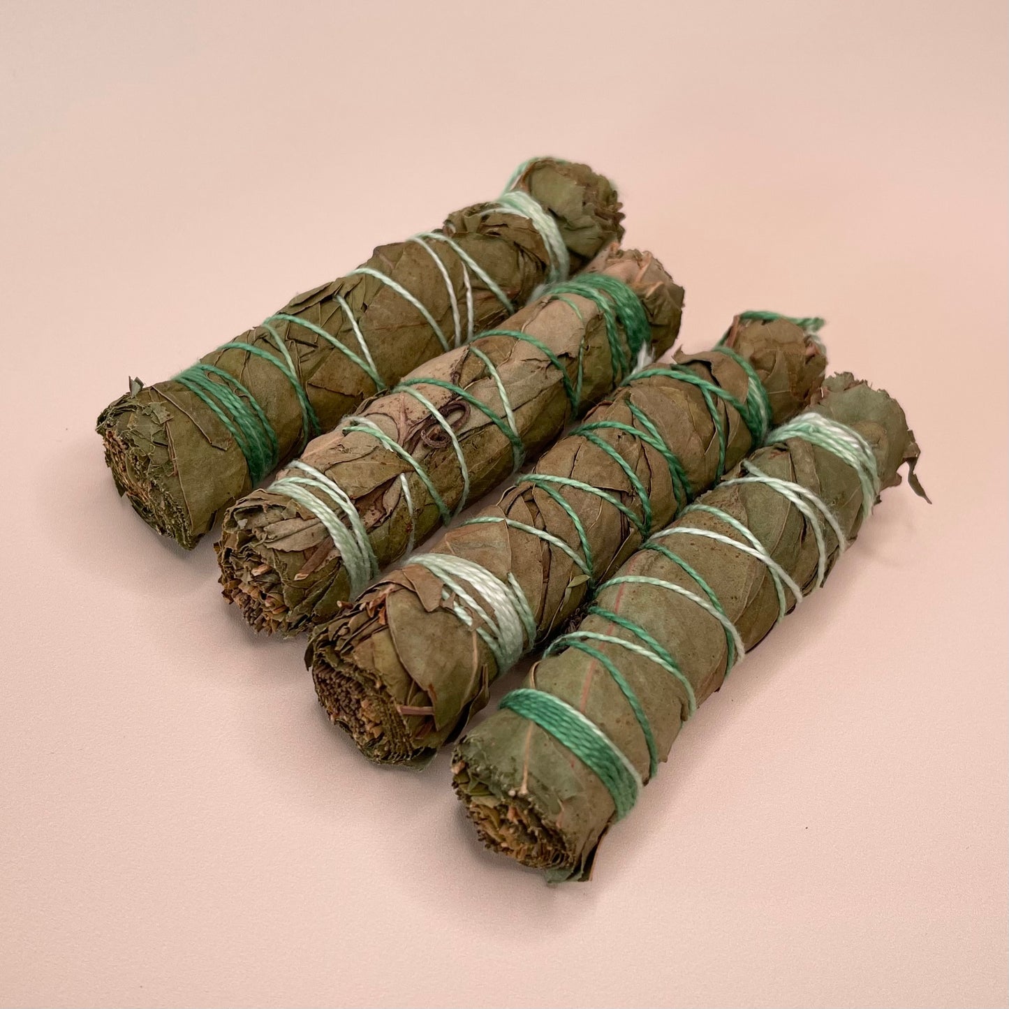 Healing Eucalypt Blend Mini Smudge